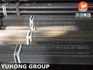 Hochdrucklegierter Stahl-nahtloses Rohr-Wärmetauscherrohr Heater Superheater Tube des Rauchrohr-ASTM A213 ASME SA213 T5