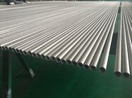 Duplex-nahtloses Stahlrohr ASTM A789 S31803 3/4 ZOLL 16BWG 20FT 100% Wirbelstrom-Test und hydrostatischer Test