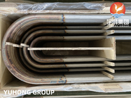 Edelstahl-nahtloses Umkehrbogen-Rohr ASTM A213 TP304 für Wärmetauscher