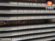 ASTM A213 / ASME SA213 T9 Kesselrohr aus Stahllegierung Nahtlosrohr schwarz bemalt