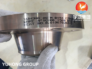 ASTM B151 C70600 Kupfer-Nickel-Legierung Schweißhals-Erhöhungsfläche Flansche ASME B16.5