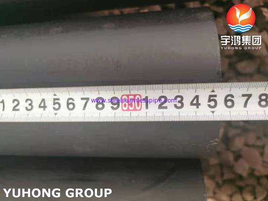 ASTM A213 T5 K41545 Nahtlose Rohr aus Legierstahl für den Wärmetauscher