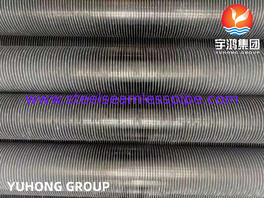 ASTM A269 TP304L aus Edelstahl extrudierte Flossenröhrchen für Kälder