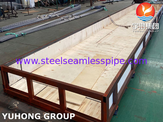 Edelstahl nahtloses ASTM A213 / ASME SA213 TP321 / TP321H / TP347H Kessel U-Bogenrohr