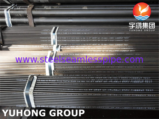 ASME SA213 T5 Seamless Hot Rolled Tube aus Legierstahl für den Einsatz in Kesseln und Wärmetauschern