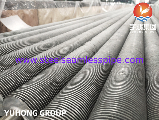 ASTM A269 TP304L aus Edelstahl extrudierte Flossenröhrchen für Kälder