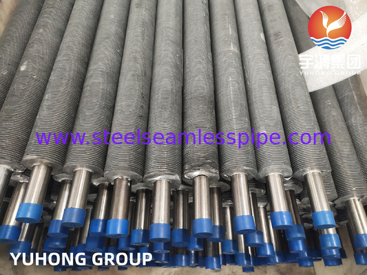 ASTM A269 TP304L aus Edelstahl extrudierte Flossenröhrchen für Kälder