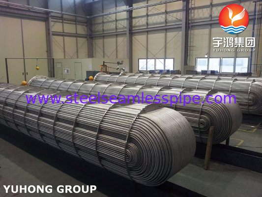 ASME SA213 TP316L Straight Tube Bundle in Schal und Rohrwärmetauscher