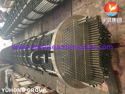 ASME SA213 TP316L Straight Tube Bundle in Schal und Rohrwärmetauscher