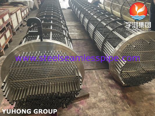 ASME SA213 TP316L Straight Tube Bundle in Schal und Rohrwärmetauscher