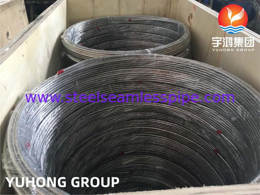 ASTM A269 TP316L nahtlose Röhre (Ra≤0,4μm) hell gegossen für Präzisionsinstrumente