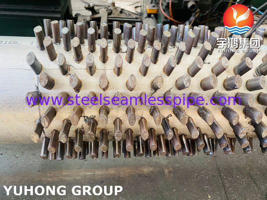 ASTM A312 TP316L gefülltes Flachrohr mit anpassbarer Höhe für korrosionsbeständige Wärmeaustauschsysteme