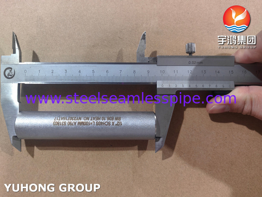 ASME B36.10 Rohr Nippel ASTM A790 UNS S31803 Nahtlose Duplex-Stahl Nippel