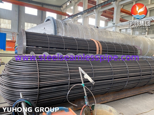 ASME U Stamped Tube Bundle Assembly mit nahtlosem Wärmetauscher U Bend Tube