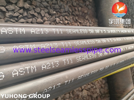 ASTM A213 Klasse T11 Seamless Boiler Tube aus Chrom-Moly-Legierungsstahl
