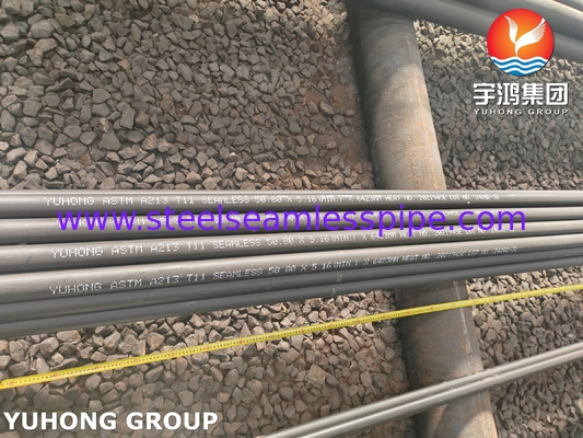 ASTM A213 Klasse T11 Seamless Boiler Tube aus Chrom-Moly-Legierungsstahl