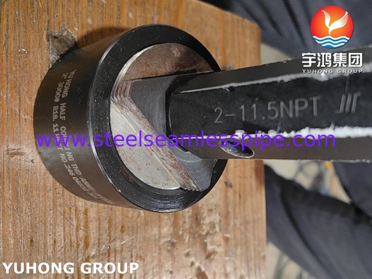 Edelstahl geschmiedet Fitting ASME SA105 B16.11 3000 NPT Halbkopplung mit B16.11 Standard