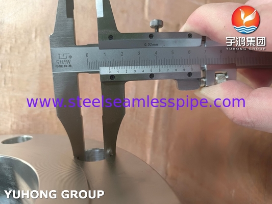 ASTM A182 / ASME SA182 F60 UNS32205 Flanken aus Duplexstahl5