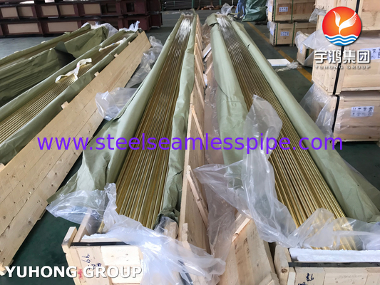 ASTM B111 C44300 O61 Seamless Tube aus Admiralty Messing für den Wärmetauscher