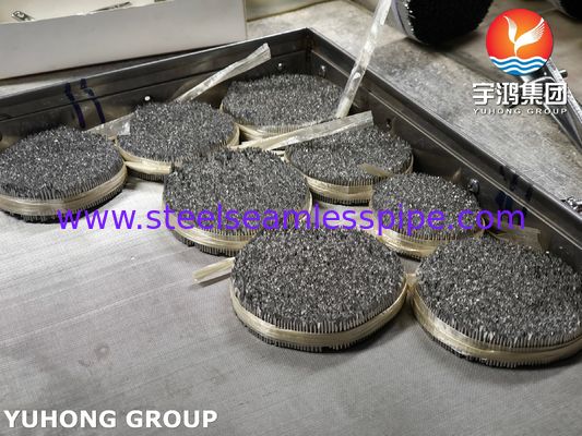 Edelstahl Spritznadelrohr, SUS304 16G Veterinärnadel zur Tierpflege