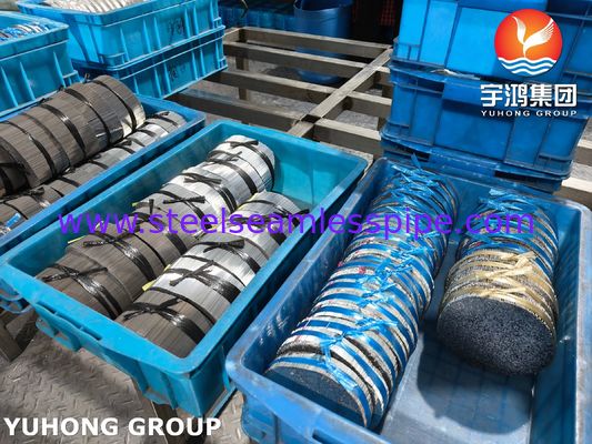 Edelstahl Spritznadelrohr, SUS304 16G Veterinärnadel zur Tierpflege