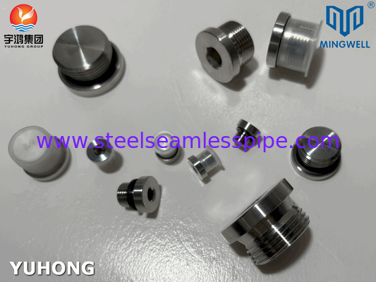 Schmiede 316L Hydraulische Edelstahl-Steckstecker, männlich und weiblich, mit JIS B8363 Standard