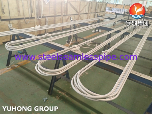 Wärmetauscher der Raffinerie TP304 U Bend Tube