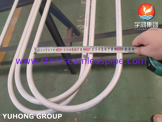 Wärmetauscher der Raffinerie TP304 U Bend Tube