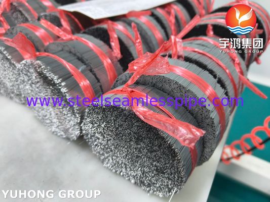 Medizinische Edelstahl-Schrägschliff-Kanüle für Medikamentenverabreichung SUS304