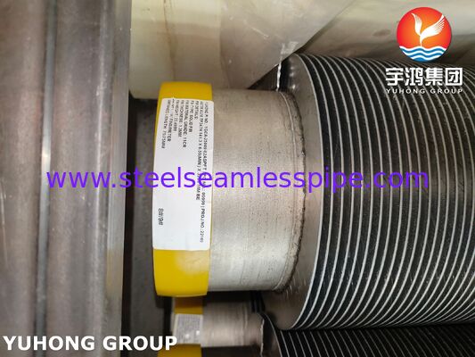 Hochfrequenzgeschweißte Flossenröhren TP347H Basisröhrchen & CS Flossen für Kessel & Heizgeräte