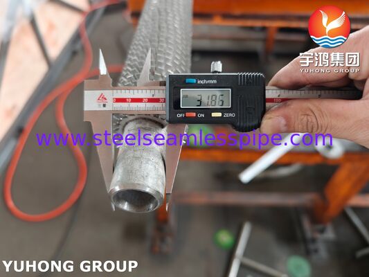 Hochfrequenzgeschweißtes zerknitztes Flossenröhrchen TP304H Basis / SS304 Flossen