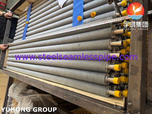 EN 10217-7 1.4301 Edelstahl- und Aluminium-Strangpressrippenrohr