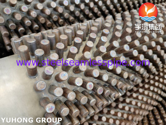 Edelstahl 304 Stiftrippenrohr – Hochtemperatur-Wärmeübertragungsanwendung