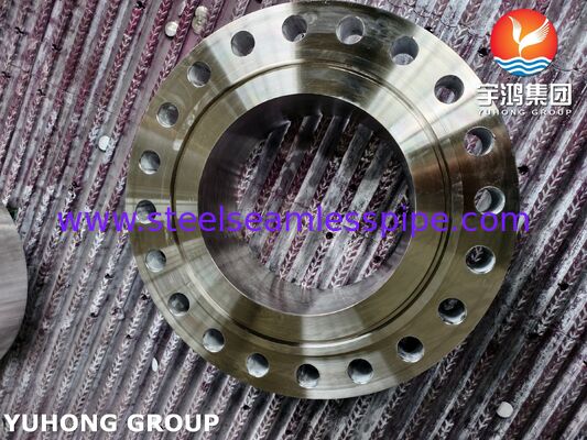 Stahlflansche ASTM B564 NICKELLE ALLOY MONEL400 UNS N04400 WNRTJ Flansche