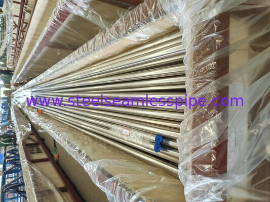 ASME SA213 TP304H Nahtloser Kesselrohr für Superheater und Reheater