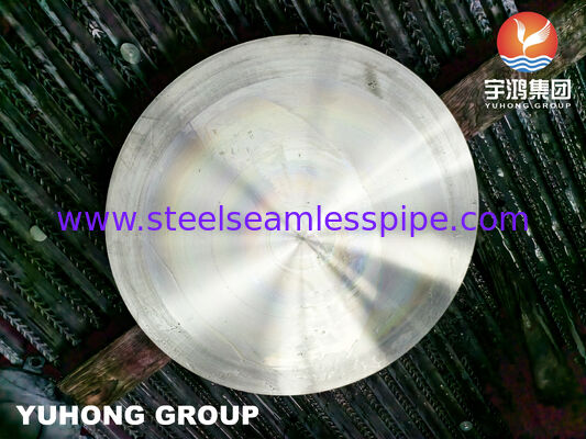 Schmiede ASTM A182 F304H aus Edelstahl Blindplatte / Flansche Flachseite